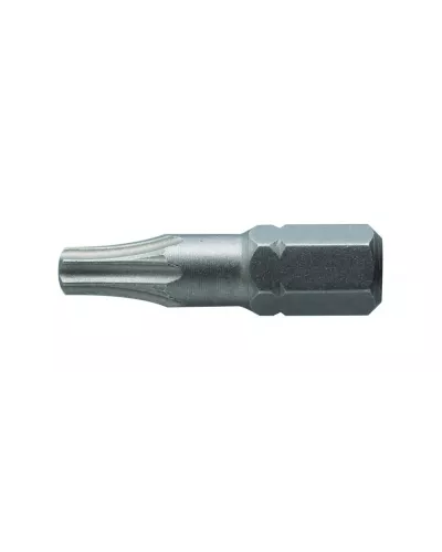 Биты TORX  20, 25 мм, сталь S2, 2 шт. HT1S363