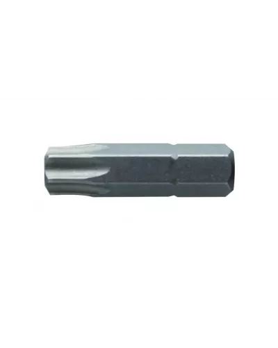 Биты TORX  40, 25 мм, сталь S2, 2 шт. HT1S367