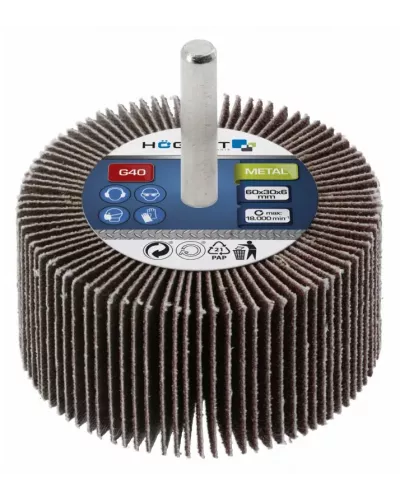 Круг  шлифовальный лепестковый на шпильке 60x30x6 G150 HT8D015
