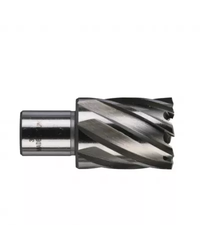 Кольцевая фреза HSSAC 30 x 30 - 1 шт Milwaukee