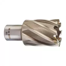 Кольцевая фреза HSSAC 31 x 30 - 1 шт Milwaukee