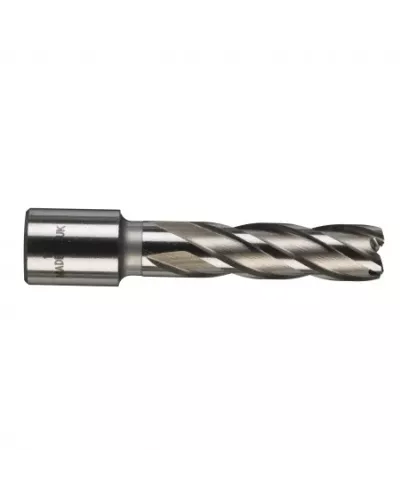 Кольцевая фреза HSSAC 14 x 50 - 1 шт Milwaukee
