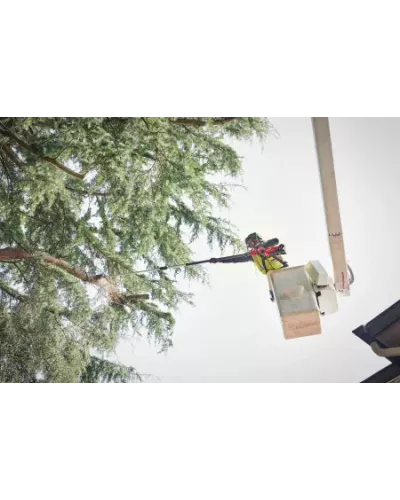 Аккумуляторный телескопический высоторез Milwaukee M18 FTPS30-121 FUEL (Арт. 4933480869)