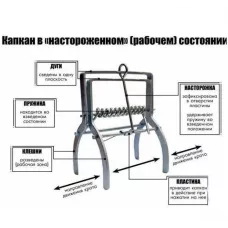Кротоловка  (капкан для кротов) GR5103
