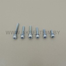 Болт диаметр 5мм длина 30мм (10шт.)