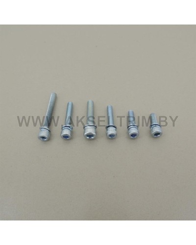 Болт диаметр 5мм длина 30мм (10шт.)