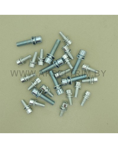 Набор болтов для сборки триммера 6*25 и 5*15
