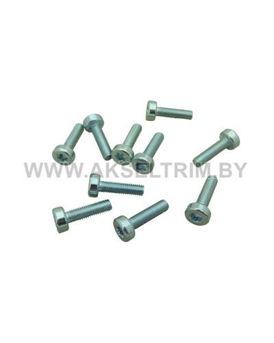 Болт для сборки бензопилы аналог ST Т27 м5X18 (10 шт)
