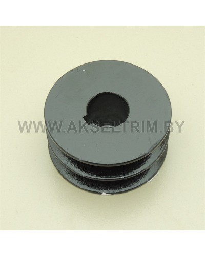 Шкив двигателя компрессора 110*2В