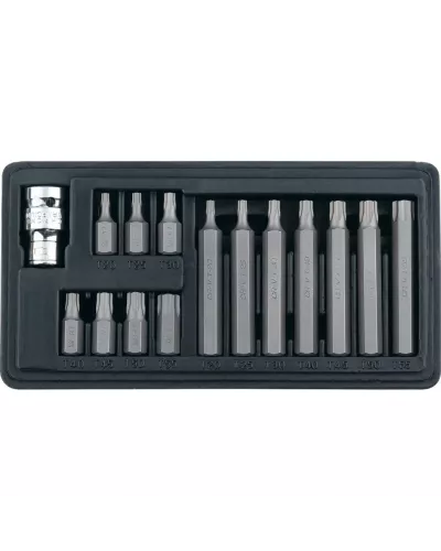 Набор бит Torx , хвостовик-шестигранник, 10 мм, CrV, 15 предметов Stels