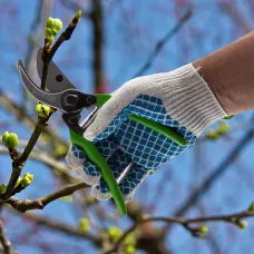 Секатор, 200 мм, пружина возвратная ленточного типа  PALISAD 605495