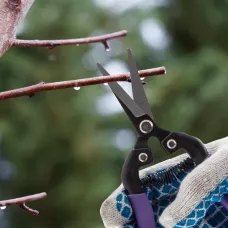 Секатор цветочный, 180 мм, пружина спирального типа PALISAD 60554