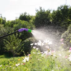 Опрыскиватель ручной с горловиной 3 л, с насосом PALISAD 64743