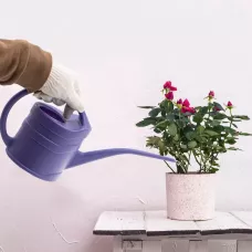 Лейка малая, 1.3 л, пластмассовая Россия 67500