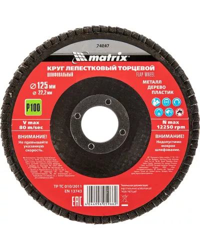 Круг лепестковый торцевой, P 100, 125 х 22.2 мм Matrix