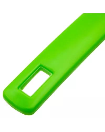 Набор: совок с кромкой 330 x 225 мм и щетка-сметка 285 мм, зеленый, Home Palisad