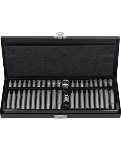 Головки-биты специальные TORX TAMPERPROOF RIBE (42пр.) 